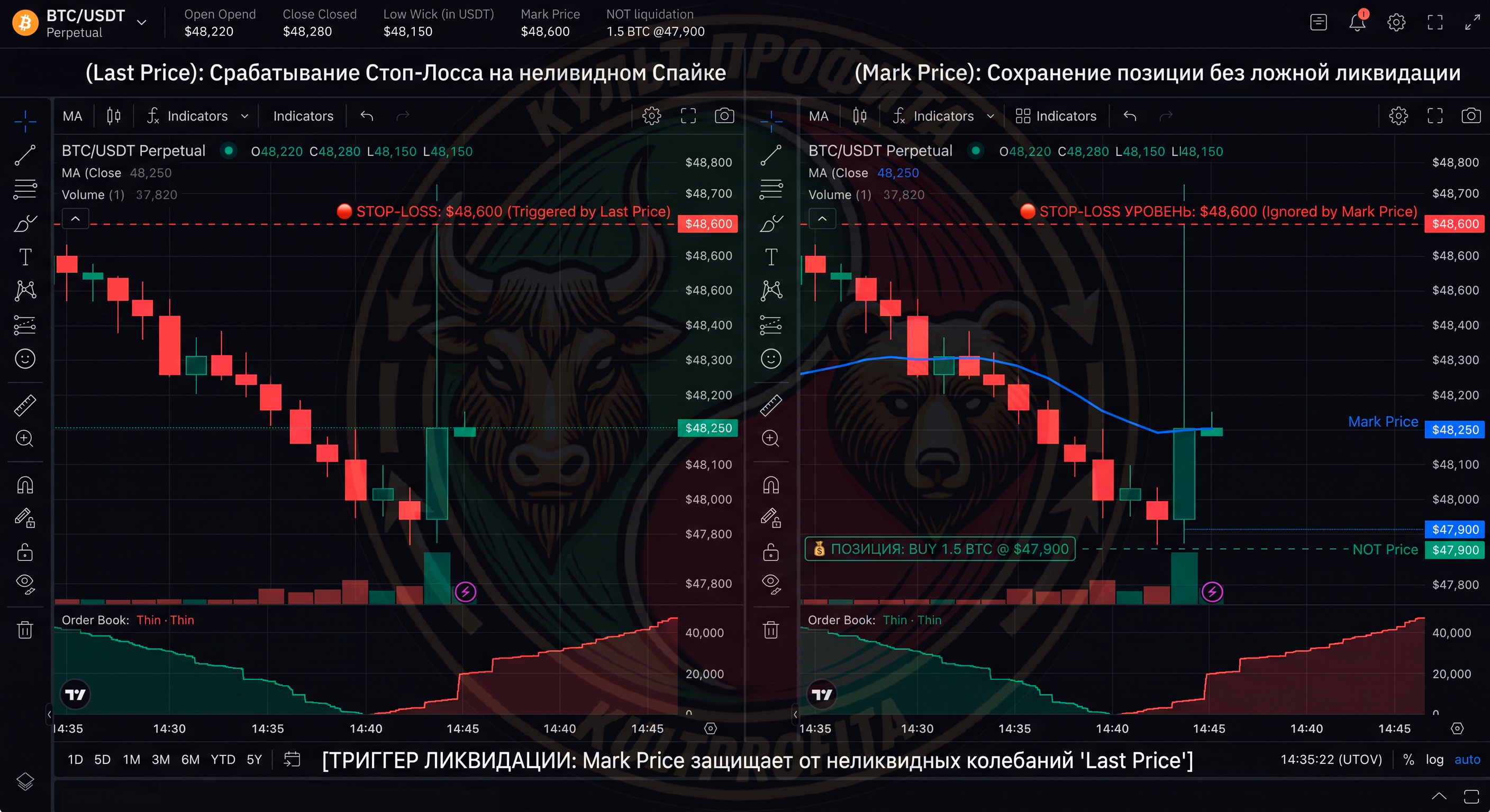 shortskviz2.png