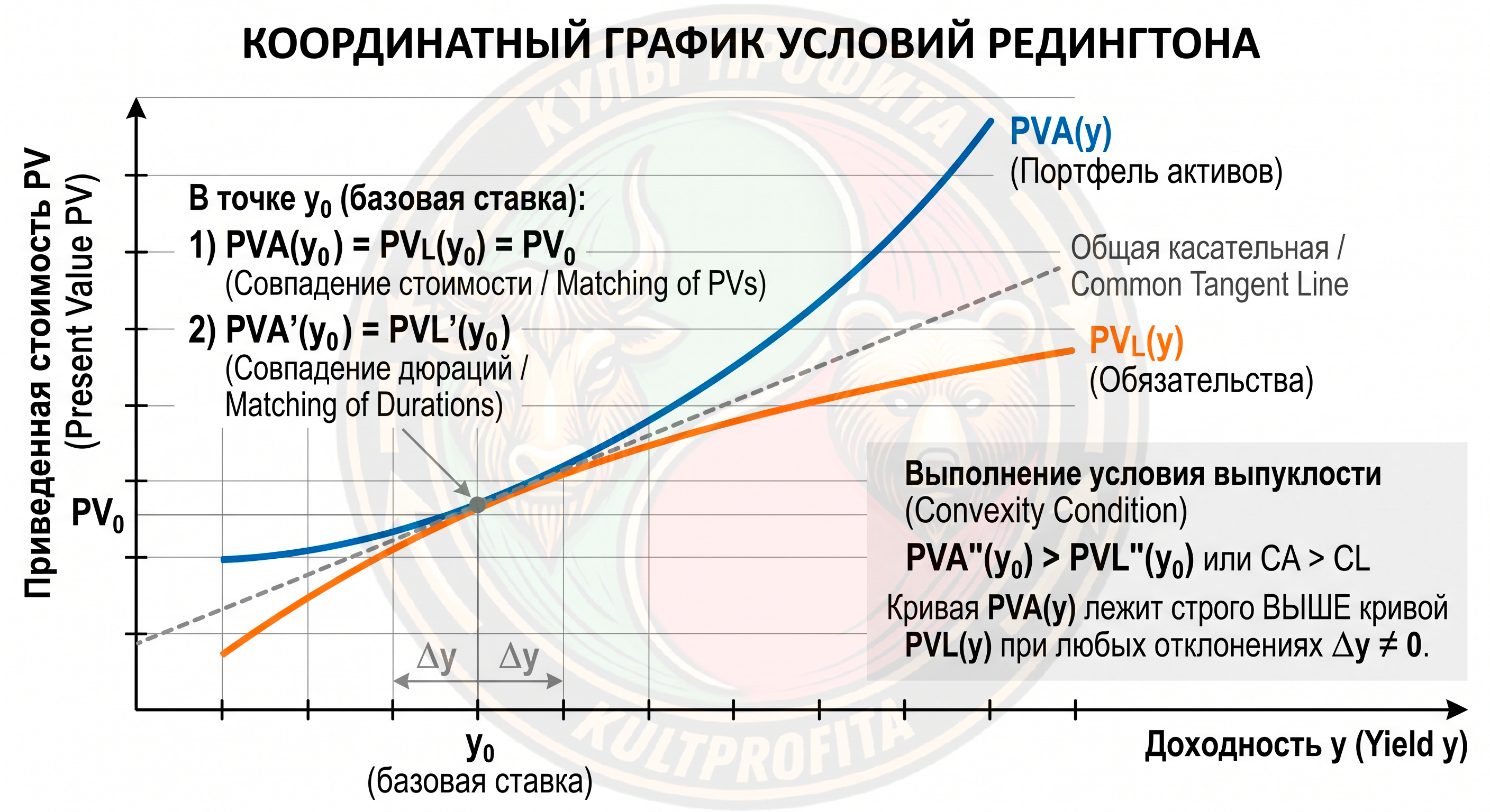 immunizatcia2.png