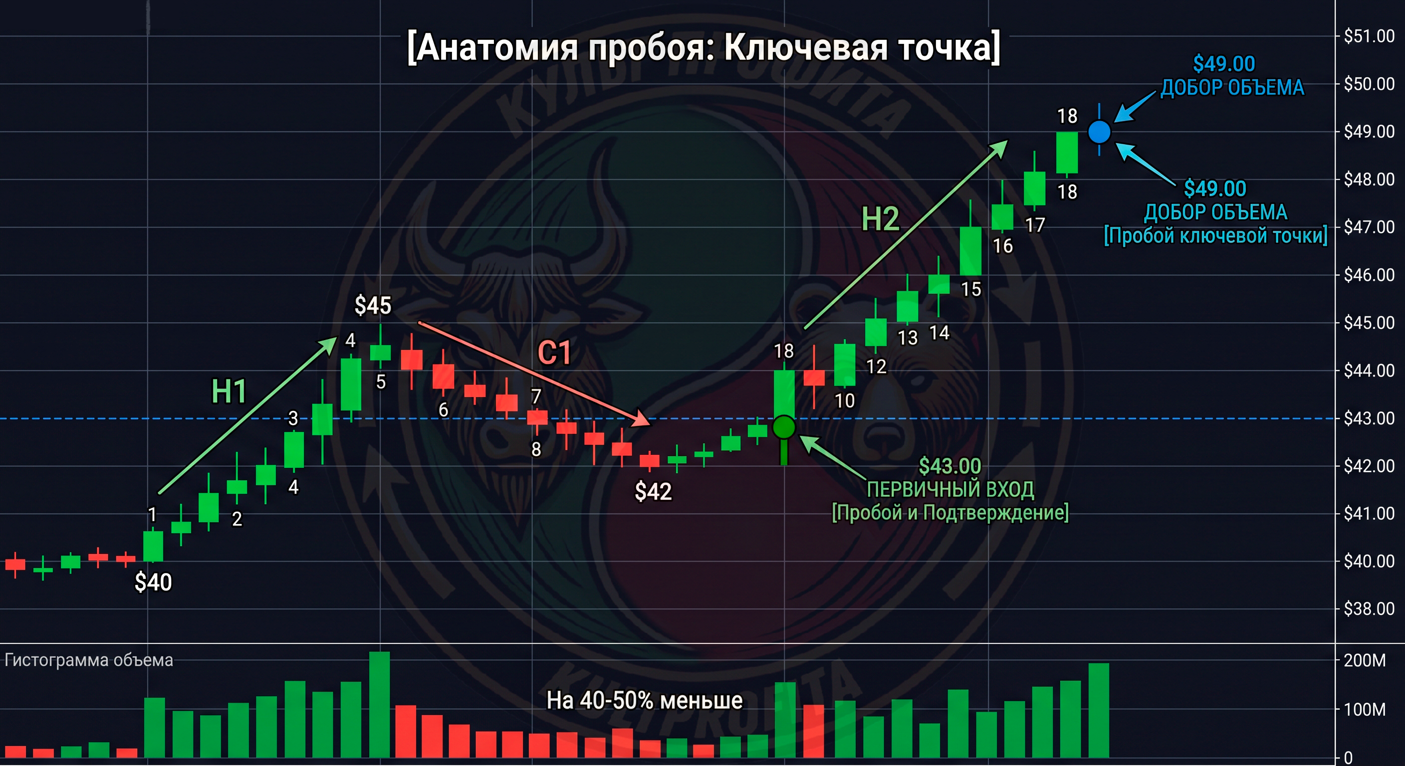 putnaimensoprotiv1.png