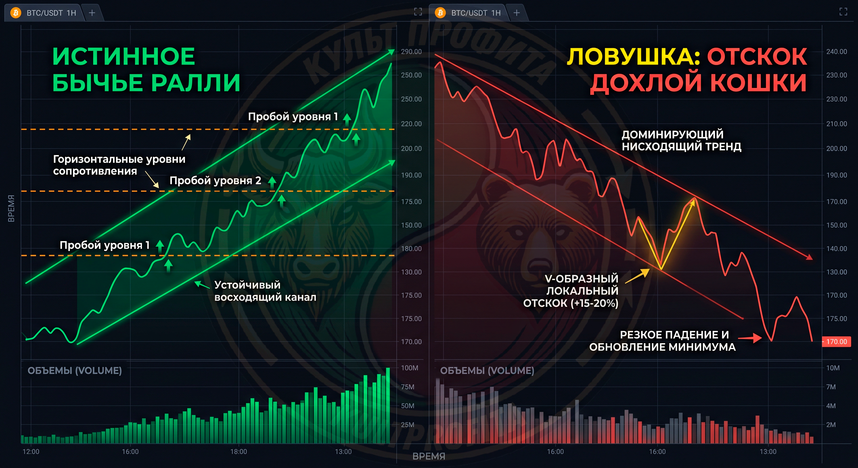 rallynarinke1.png