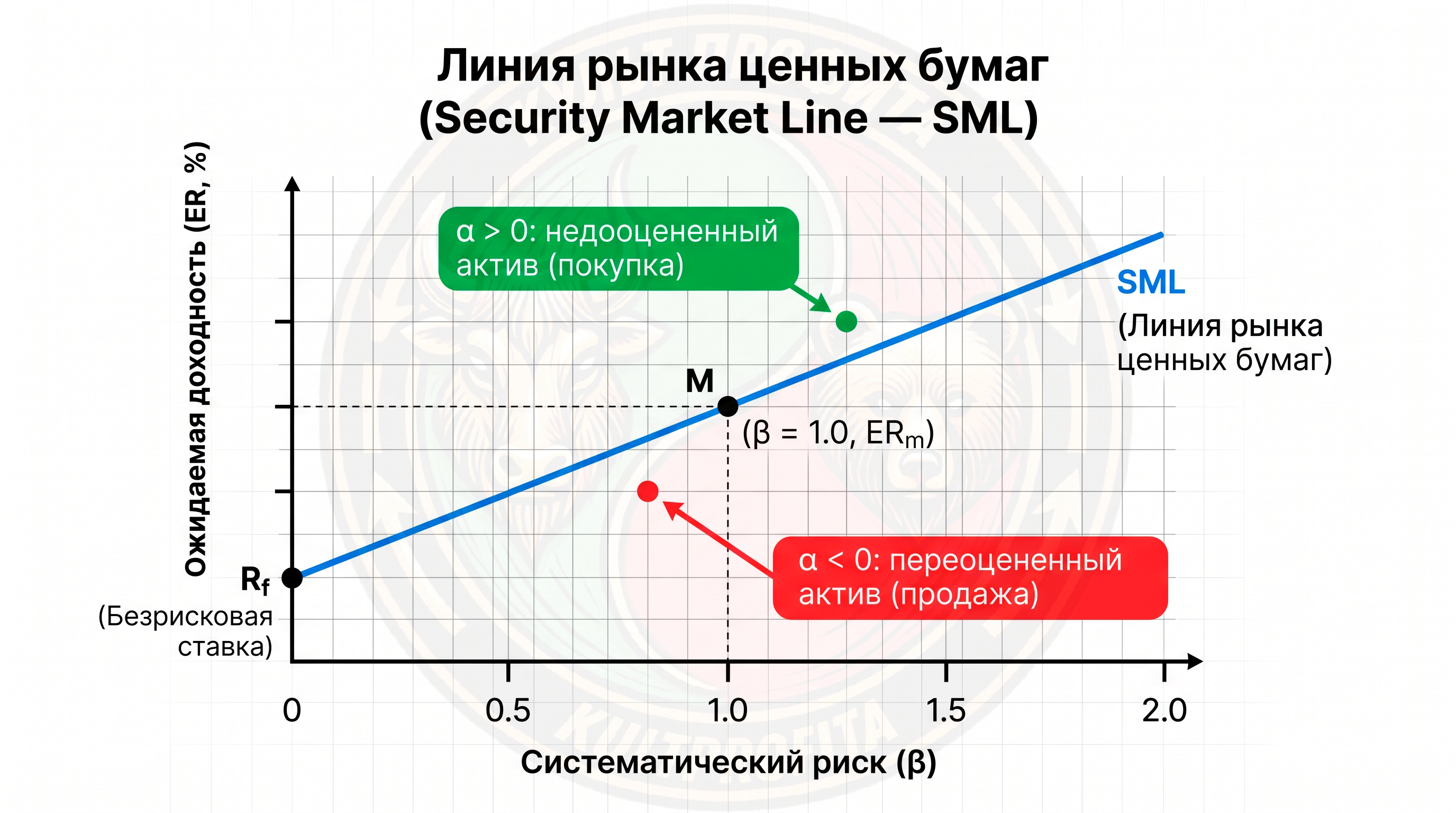 sarm2.png