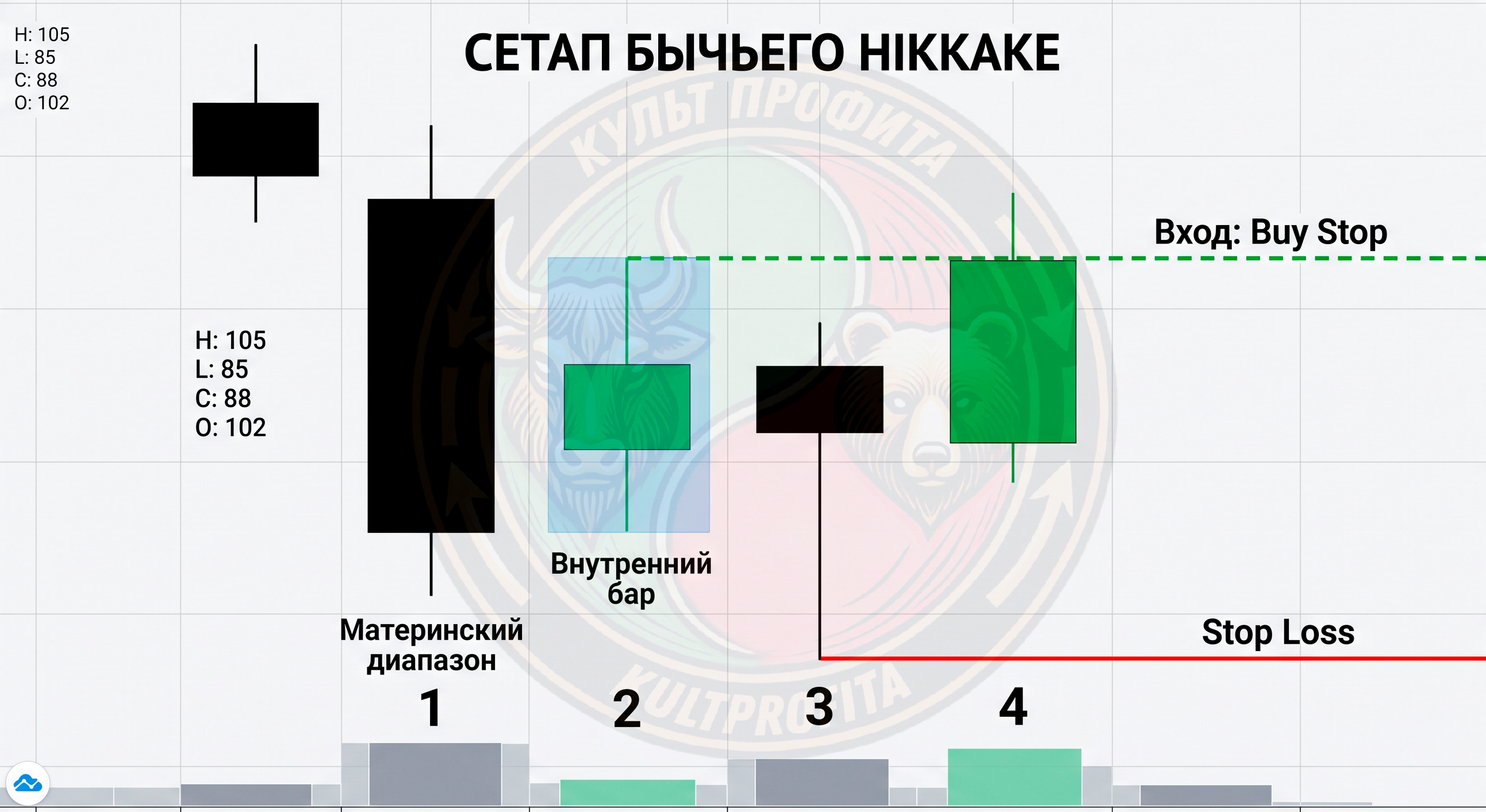 svechgrafmodel3.png