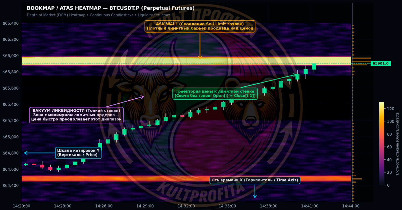 liquidityheatmapp1.png