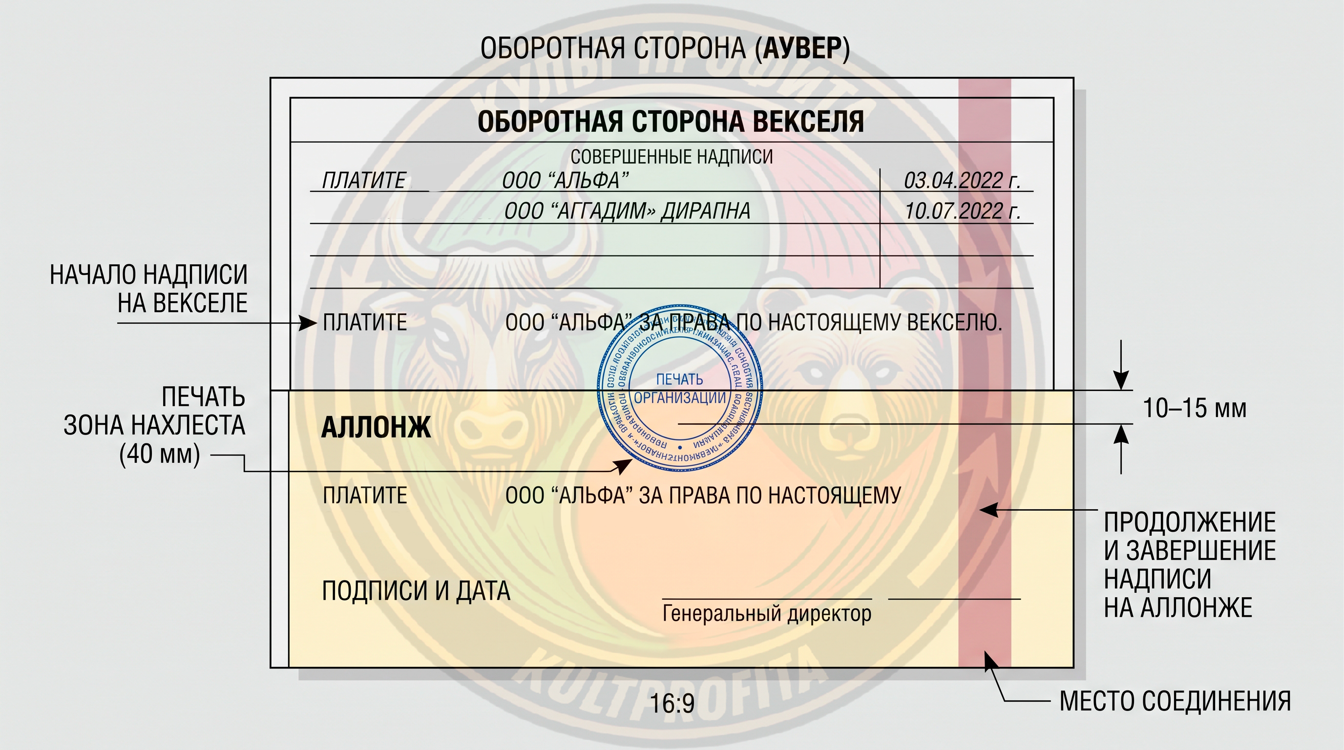 allong1.png